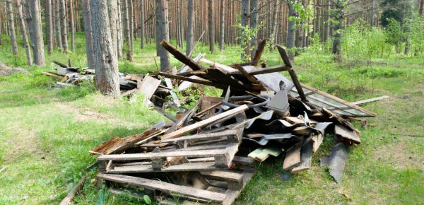 Debris Removal Service in Palm Beach Gardens