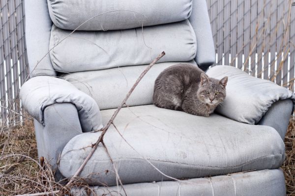 Recliner Disposal in Palm Beach Gardens